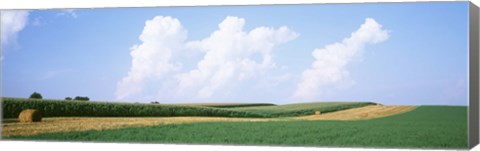 Framed Hay bales in a field, Jo Daviess county, Illinois, USA Print