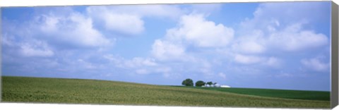 Framed Panoramic view of a landscape, Marshall County, Iowa, USA Print