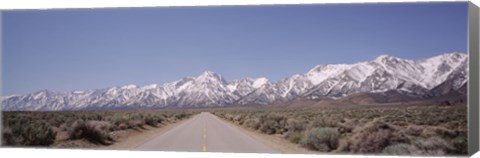 Framed USA, California, Sierra Nevada, Bushes on both sides of a road Print