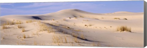 Framed Sand dunes on an arid landscape, Monahans Sandhills State Park, Texas, USA Print