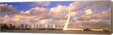 Framed Netherlands, Holland, Rotterdam, Erasmus Bridge Print