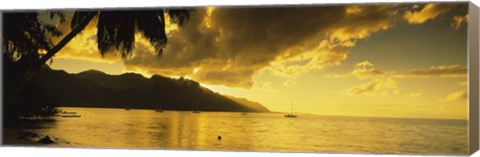 Framed Silhouette Of Palm Trees At Dusk, Cooks Bay, Moorea, French Polynesia Print