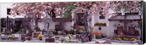 Framed Flowers on tombstones, Tirol, Austria Print