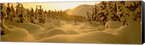 Framed Sunset, Turnagain Pass, Alaska, USA Print