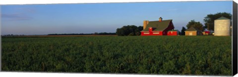 Framed Farm Fields Stelle IL USA Print