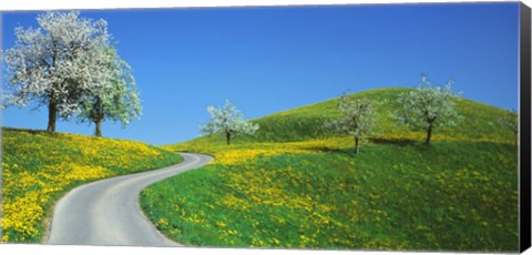 Framed Winding Road Canton Switzerland Print