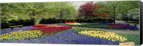 Framed Keukenhof Gardens, Lisse, Netherlands Print