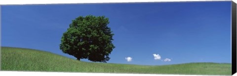 Framed View Of A Lone Tree On A Hillside In Summer Print