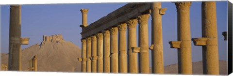 Framed Low angle view of Great Colonnade, Palmyra, Syria Print