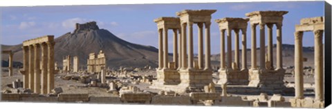 Framed Colonnades on an arid landscape, Palmyra, Syria Print