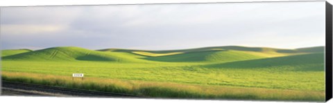 Framed Eden Train Stop, Palouse, Whitman County, Washington State, USA Print