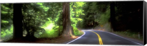 Framed Road, Redwoods, Mendocino County, California, USA Print