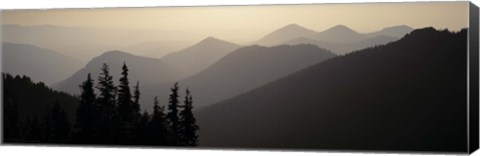 Framed Mount Rainier National Park WA USA Print
