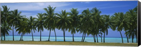 Framed Palms &amp; lagoon Aitutaki Cook Islands Print