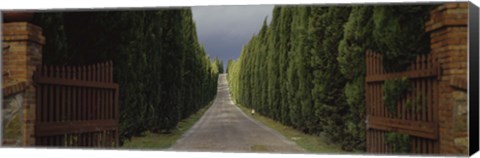 Framed Road, Tuscany, Italy, Print