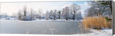 Framed Snow covered trees near a lake, Lake Schubelweiher Kusnacht, Zurich, Switzerland Print