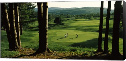 Framed Four people playing golf, Country Club Of Vermont, Waterbury, Washington County, Vermont, USA Print