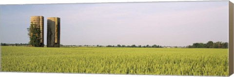 Framed USA, Arkansas, View of grain silos in a field Print