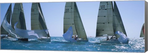 Framed Sailboats, Key West, Florida Print