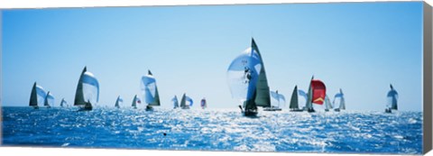 Framed Sailboat Race, Key West Florida, USA Print