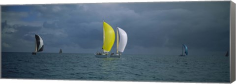 Framed Sailboat race Key West, Florida Print