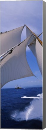 Framed Low angle view of a sailboat&#39;s mast Print