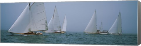 Framed Sailboats at regatta, Newport, Rhode Island, USA Print