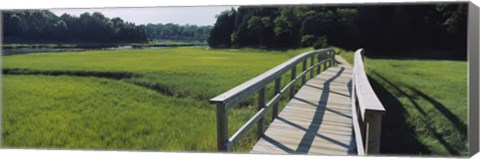 Framed Boardwalk in a field, Nauset Marsh, Cape Cod, Massachusetts, USA Print