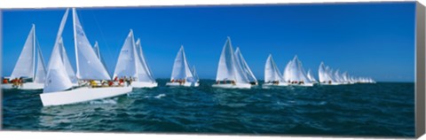 Framed Sailboats racing in the ocean, Key West, Florida Print