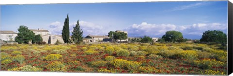 Framed Buildings in a field, Majorca, Spain Print