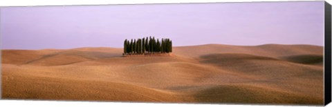 Framed Trees on a rolling landscape, Tuscany, Italy Print
