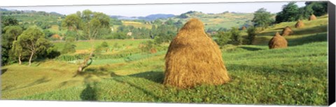 Framed Farm, Transylvania, Romania Print