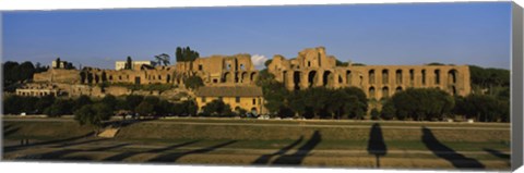 Framed Old ruins of a building, Roman Forum, Rome, Italy Print