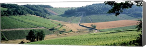 Framed France, Chablis, vineyards Print