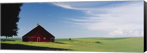 Framed Barn in a wheat field, Washington State (horizontal) Print