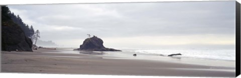 Framed Coast La Push Olympic National Park WA Print