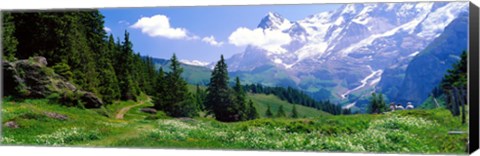 Framed Alpine Scene Near Murren Switzerland Print