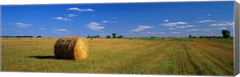 Framed Hay Bales, South Dakota, USA Print