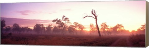 Framed Kakadu National Park Northern Territory Australia Print