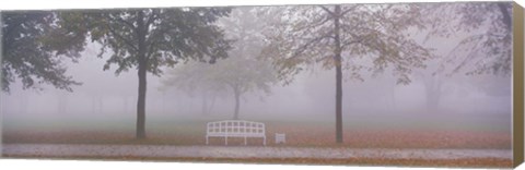 Framed Trees and Bench in Fog Schleissheim Germany Print