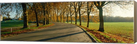 Framed Road at Chateau Chambord France Print