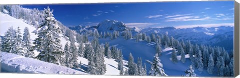 Framed Alpine Scene, Bavaria, Germany Print