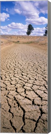 Framed Drought, Australia Print