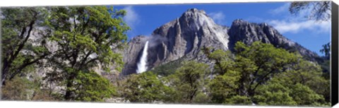 Framed Yosemite Falls Yosemite National Park CA Print