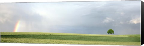 Framed Rainbow and storm clouds over a field, Zurich Canton, Switzerland Print