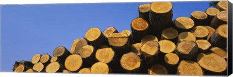 Framed Stack of wooden logs in a timber industry, Austria Print