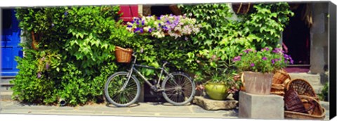 Framed Bicycle In Front Of Wall Covered With Plants And Flowers, Rochefort En Terre, France Print