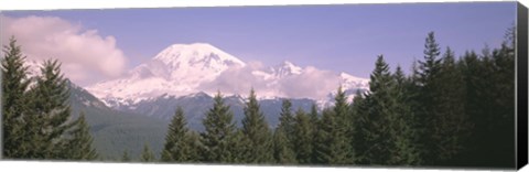 Framed Mt Ranier Mt Ranier National Park WA Print