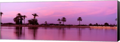 Framed Palm trees, Menara, Marrakech, Morocco Print