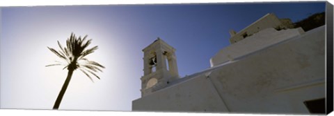 Framed Low angle view of a palm tree near a church , Ios, Cyclades Islands, Greece Print